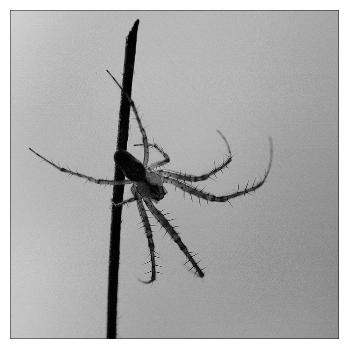 jen tak si viset ...