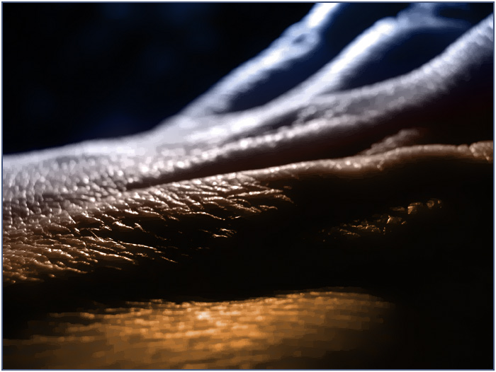 Bizarní krajina II.