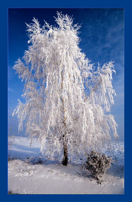 Bude zima, bude mráz...