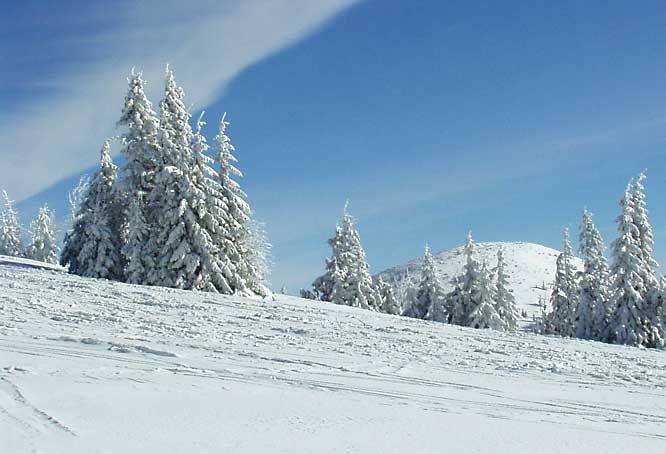 Chleb 2004 II