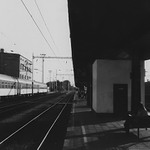 cekani.