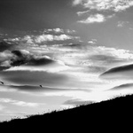 <b>...túto NEMÁM zavesenú na stene</b>