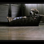 Máša a pozdní odpoledne