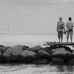 Trosečnice