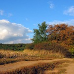 <b>Cestou necestou...</b>