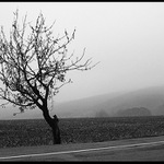 <b>Když mlha padá do polí...</b>