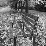 <b>Podzim lavičky...</b>