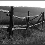 <b>Taková zbytečná ohrada...</b>