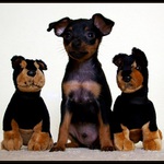 Tři mušketýři I.