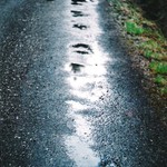 Po dazdi