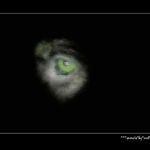 Vidím tě všude !!!