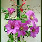 Vzpoura proti podzimu