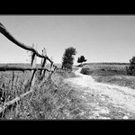 cestou ze Svaté Heleny