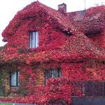 Rodinný domek jinak