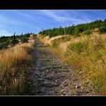 Cesta na hřebeny