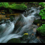 od někud někam spěchám