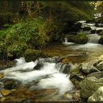 Potucek v Latane doline