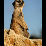 "Nechodí, stále nechodí..."