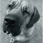 ...a kde že je ta Brazílie?