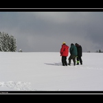 <B><U>---PROSTĚ CHLAPI---</U></B>