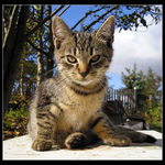 moje první pózování