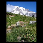 Mount Rainier