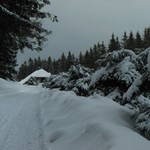 zimní spánek na Dobré vodě