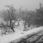 bude zima bude mráz......