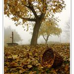 Dnes ráno pod ořechem