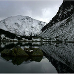 Pleso