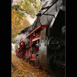 podzimní vlak...