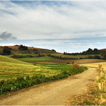 Farebná krajina ...