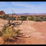 Utah Desert