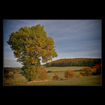 <b>* Dance macabre *</b>