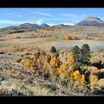 vypečená do zlatova