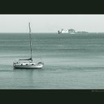 <b>living the sea</b>