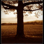 <b>:pod křídly stromu:/</b>