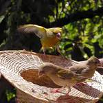 Teď jsem tu pánem já!!