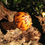 Tak už polez! Nebudu na tebe čekat věčne.