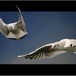 <B>JAK TO LÍTÁŠ !!!</B>