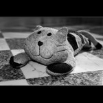 <b>AUTOPORTRÉT ? ! ? ! ? !. . . <b/>