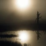 Yellowstone Sunrise Autumn 2003