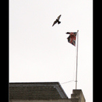 <b>Letí k vám pozdrav z Anglie</b>