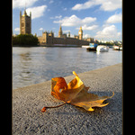 <b>Podzim v Londýně</b>