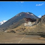 Naše cestiška pane Frodo...