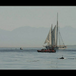 ... beru si tu vlevo ...