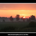 Svítání v lukách