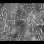 A kde je webmaster ???