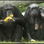 Dělej, mámo, žebrej rychle, už nemám co jíst