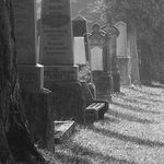 Židovský hřbitov v Poličce